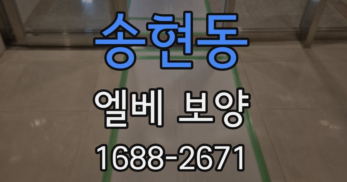 송현동 엘베 보양