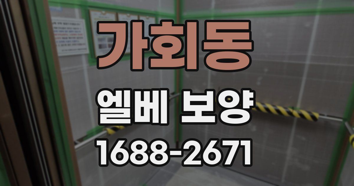 가회동 엘베 보양