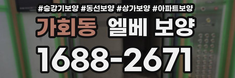 가회동 엘베 보양