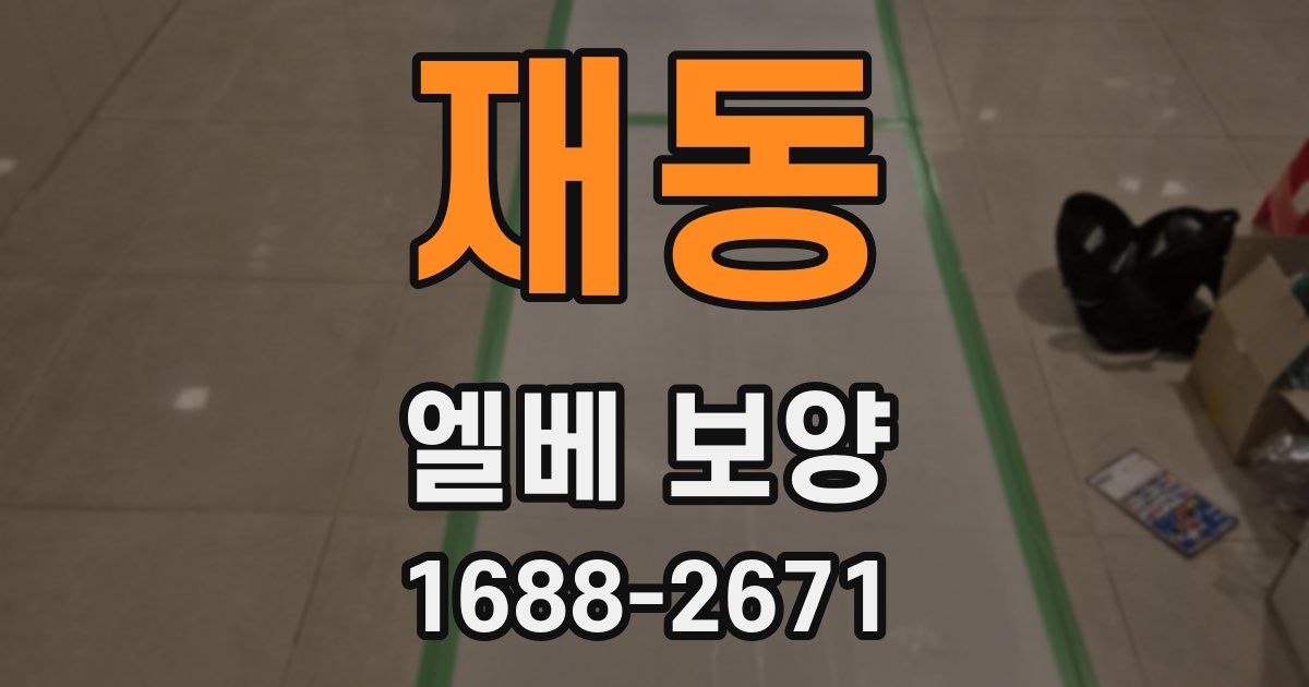 재동 엘베 보양