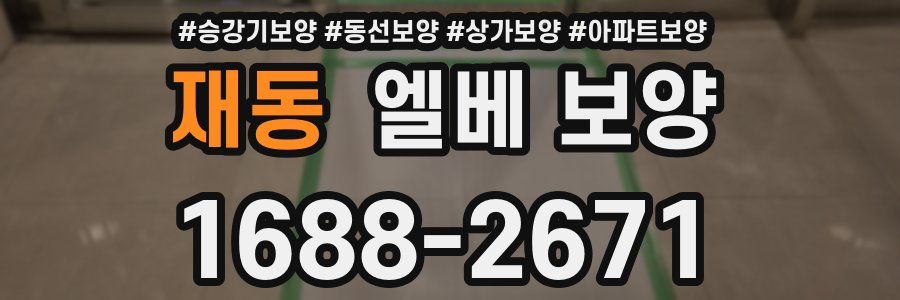 재동 엘베 보양