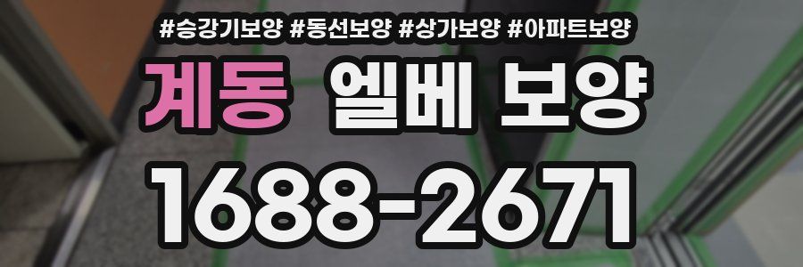 계동 엘베 보양