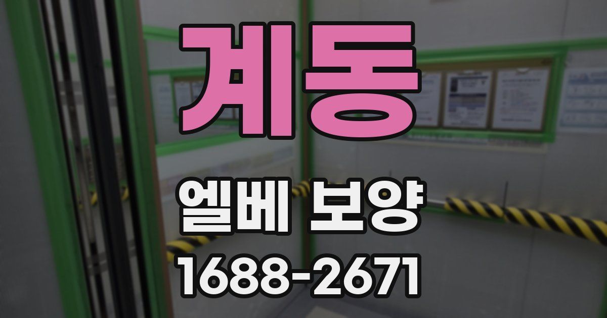 계동 엘베 보양