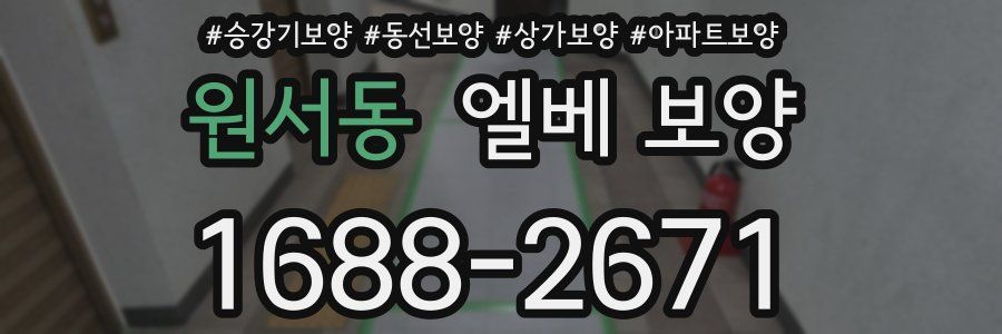 원서동 엘베 보양