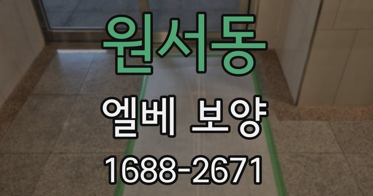원서동 엘베 보양