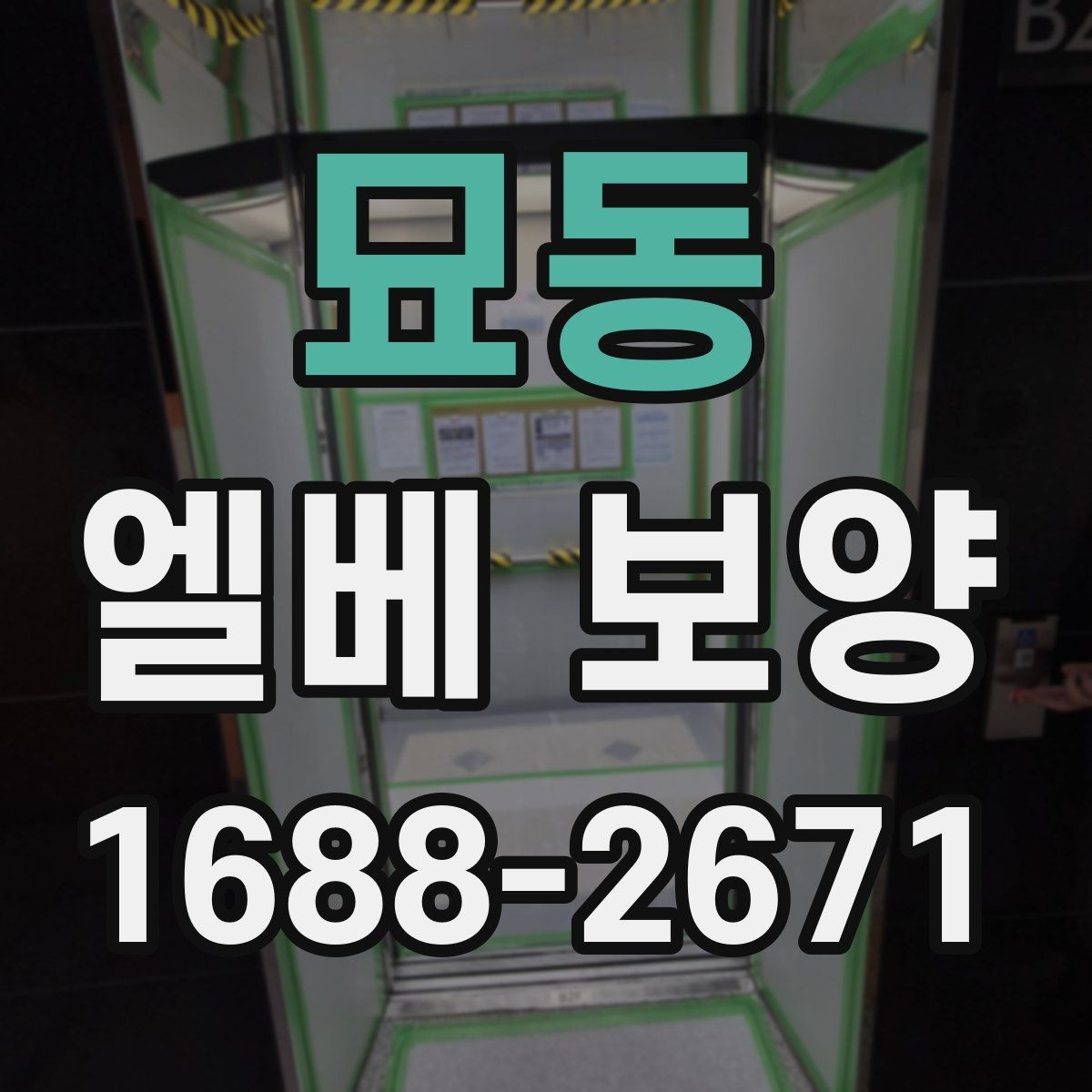 묘동 엘베 보양 바닥 오염 예방을 먼저 점검해야 하는 이유