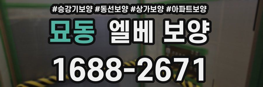 묘동 엘베 보양