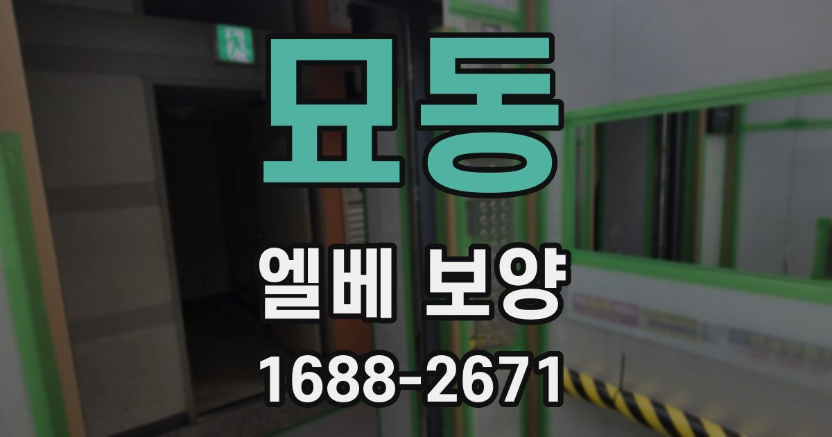 묘동 엘베 보양