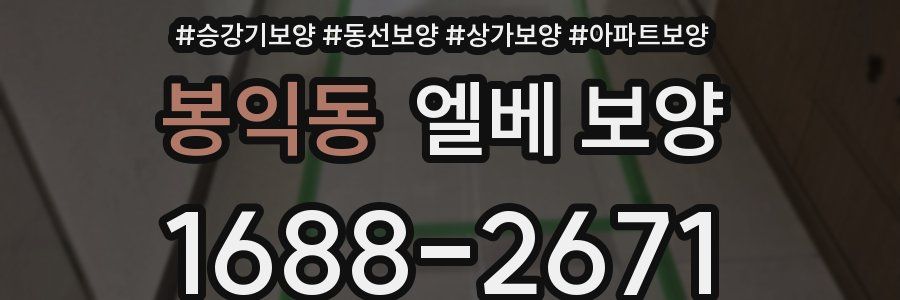 봉익동 엘베 보양