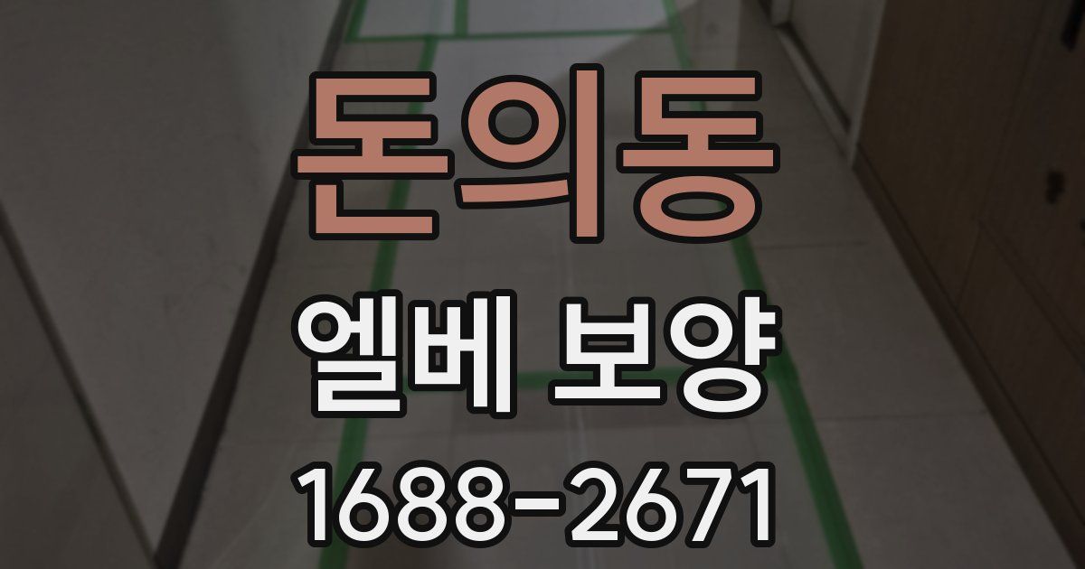 돈의동 엘베 보양