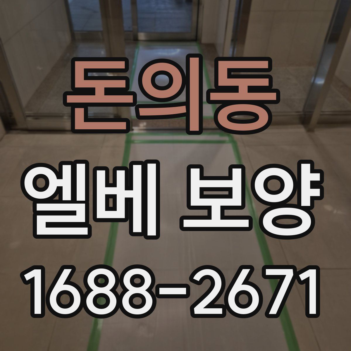 돈의동 엘베 보양