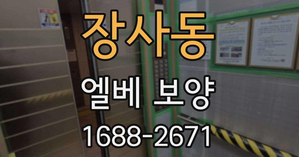 장사동 엘베 보양