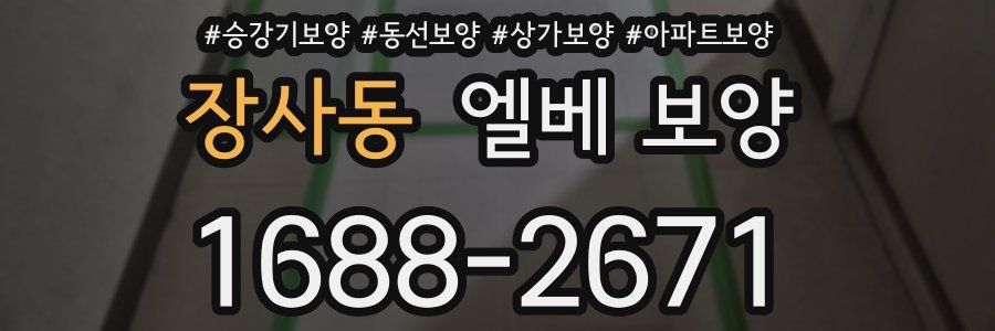 장사동 엘베 보양
