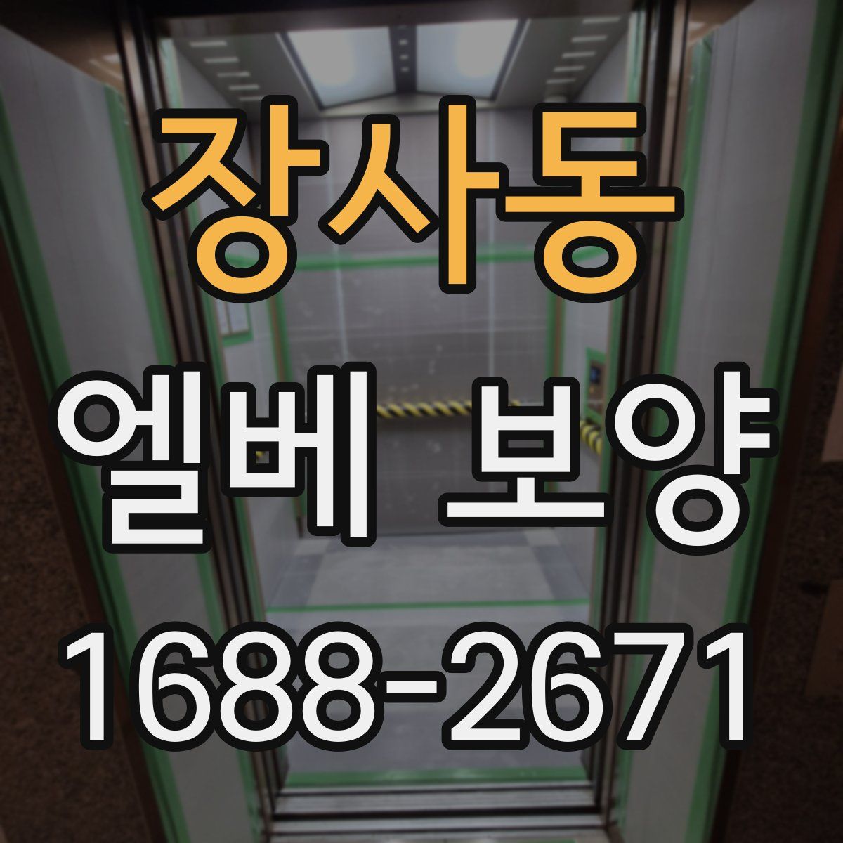 장사동 엘베 보양