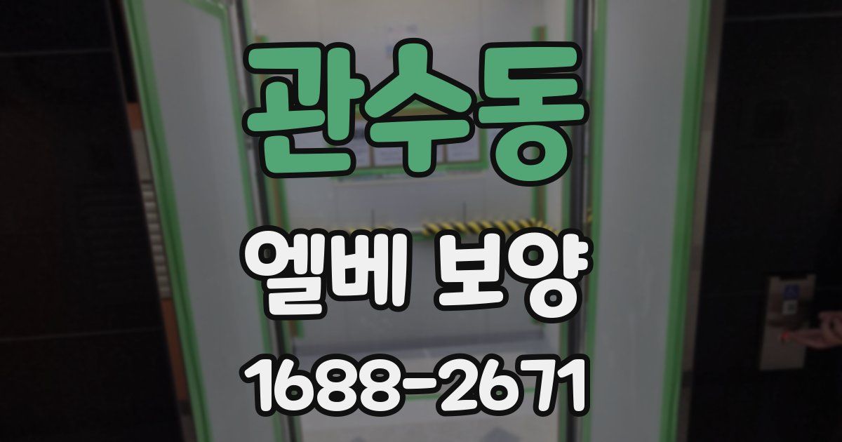 관수동 엘베 보양