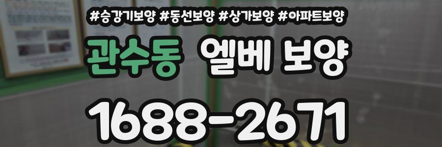 관수동 엘베 보양