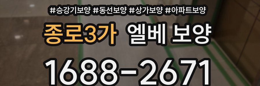 종로3가 엘베 보양