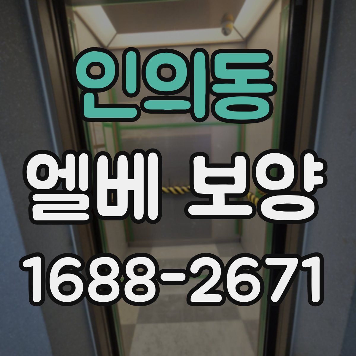 인의동 엘베 보양