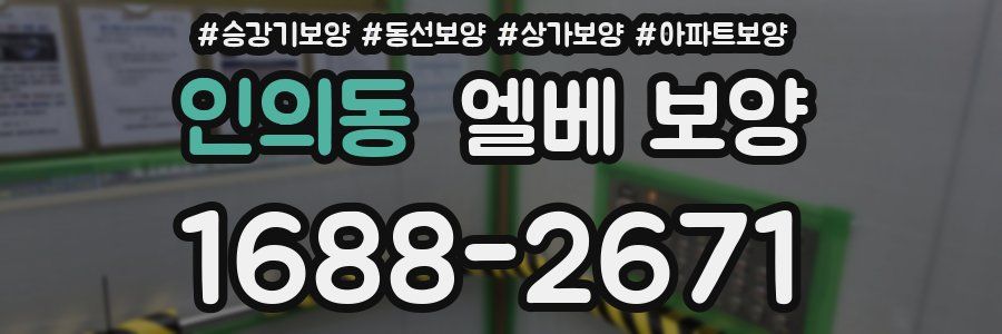 인의동 엘베 보양