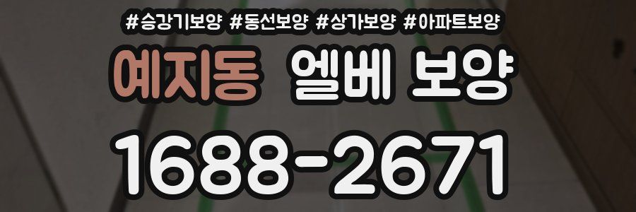 예지동 엘베 보양