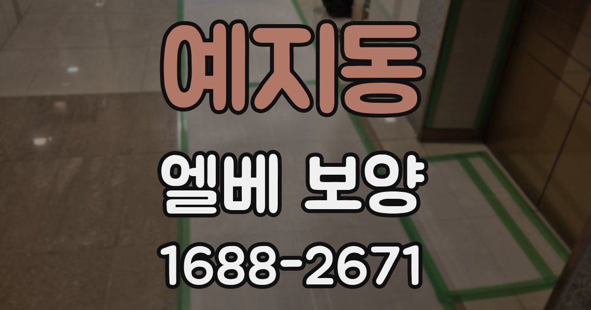 예지동 엘베 보양