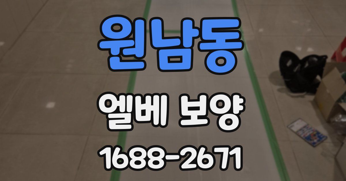 원남동 엘베 보양