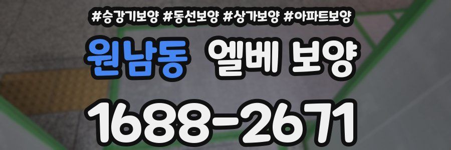 원남동 엘베 보양