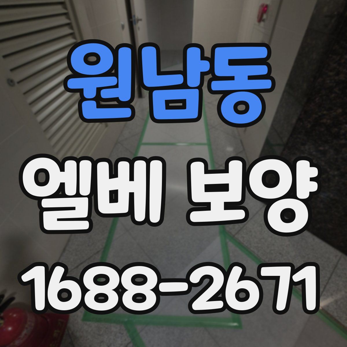 원남동 엘베 보양
