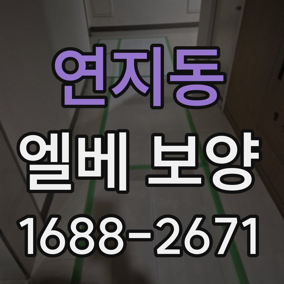 연지동 엘베 보양