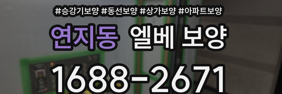연지동 엘베 보양