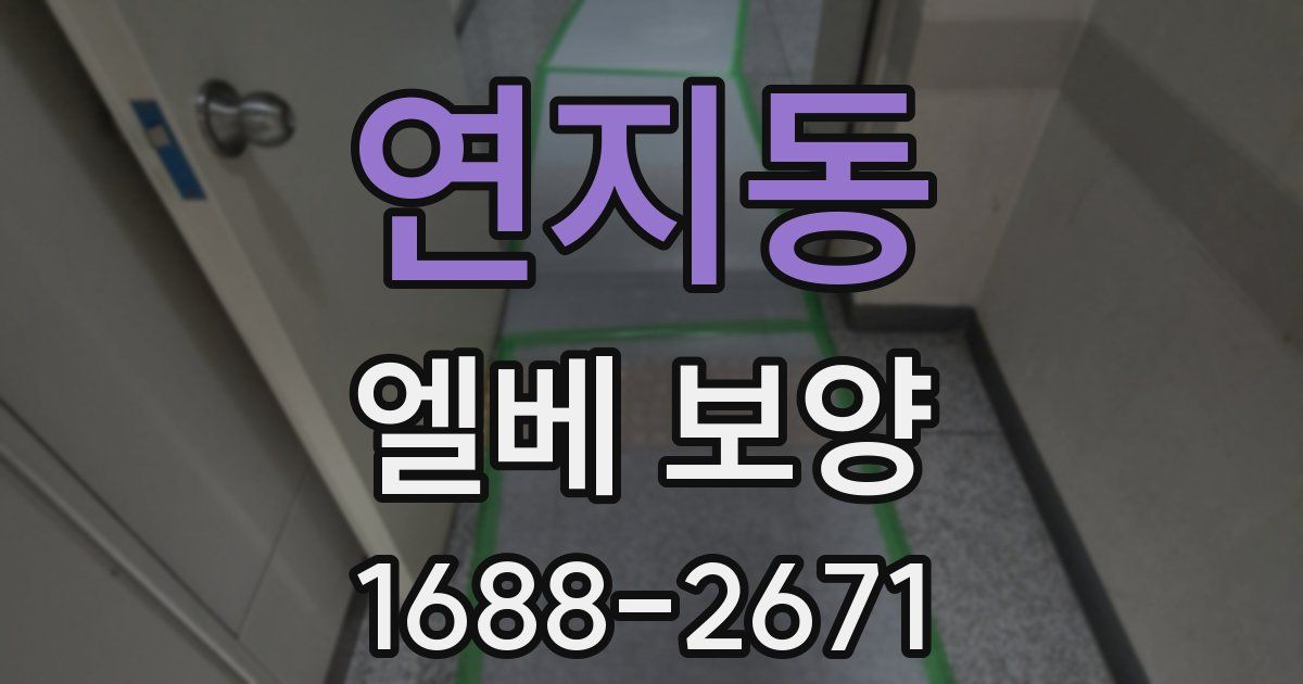 연지동 엘베 보양