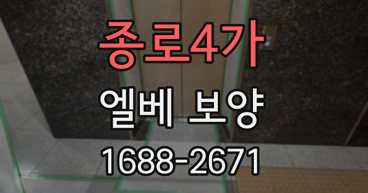 종로4가 엘베 보양