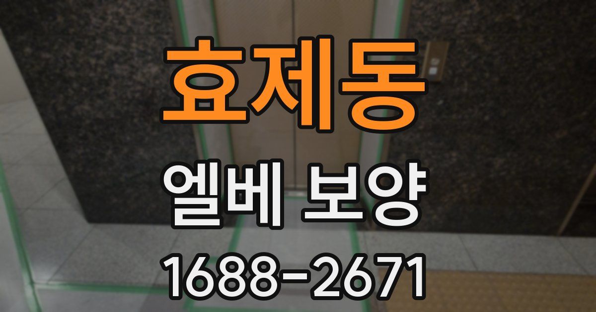 효제동 엘베 보양