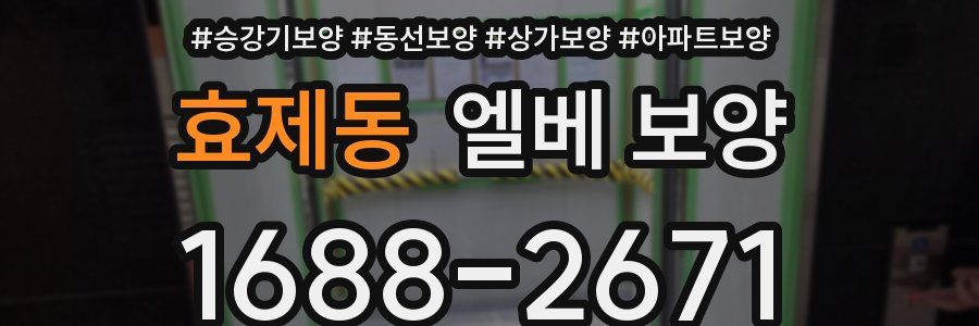 효제동 엘베 보양