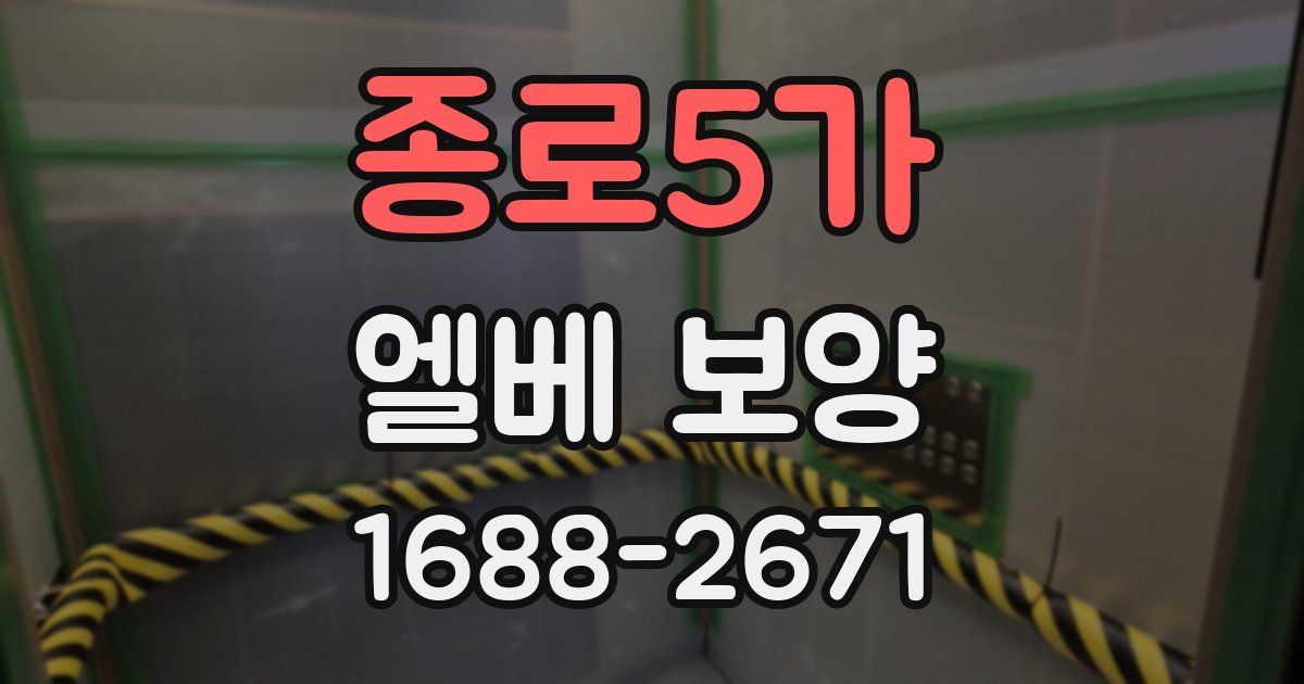 종로5가 엘베 보양