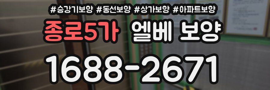 종로5가 엘베 보양
