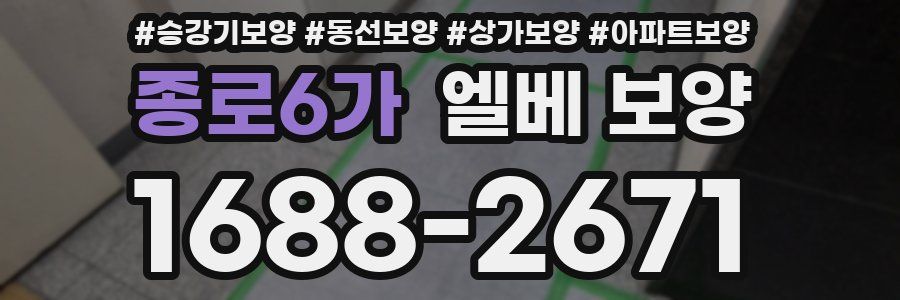 종로6가 엘베 보양