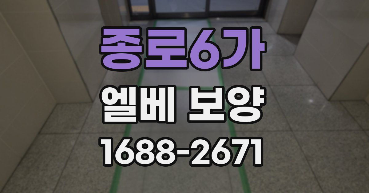 종로6가 엘베 보양