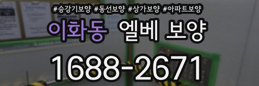 이화동 엘베 보양