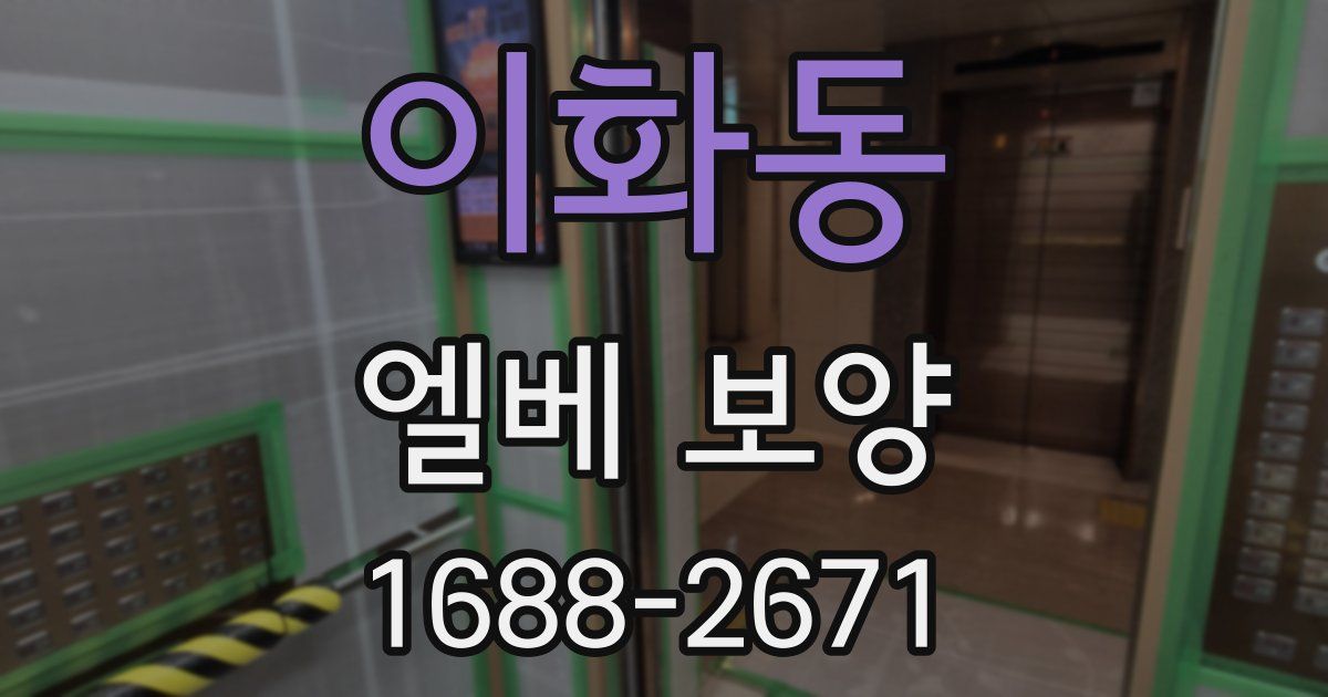 이화동 엘베 보양
