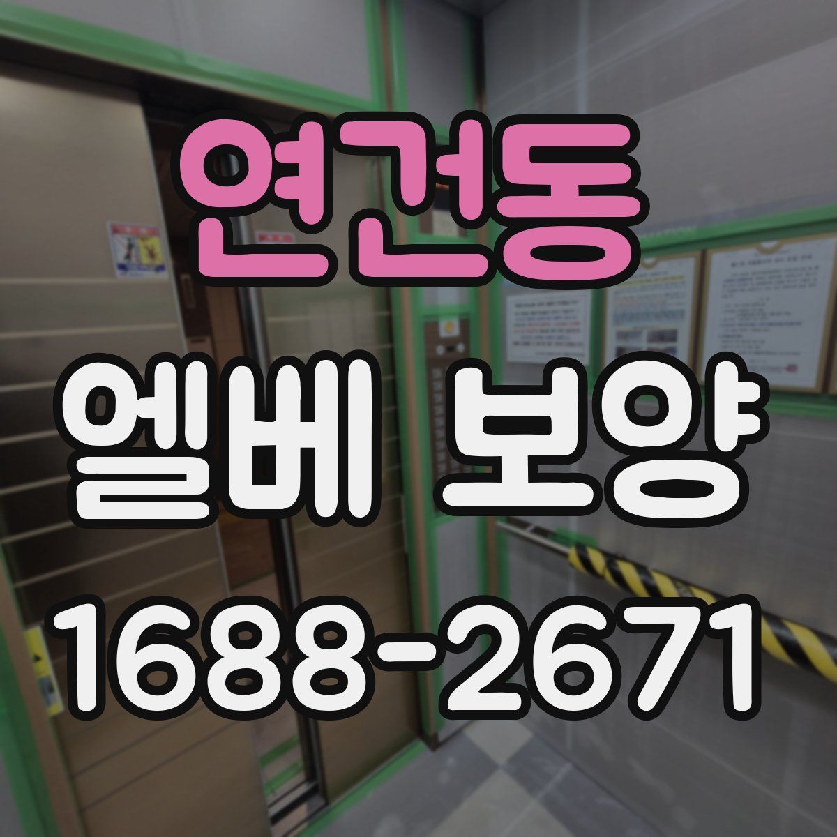 연건동 엘베 보양