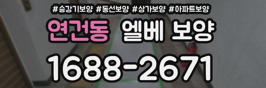 연건동 엘베 보양