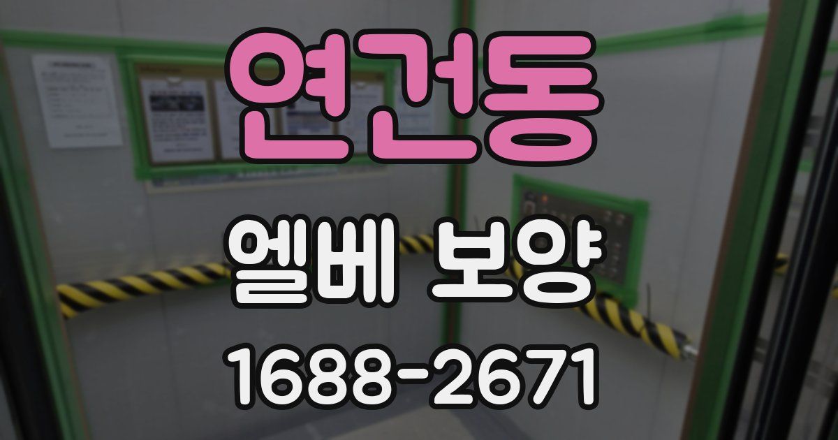 연건동 엘베 보양
