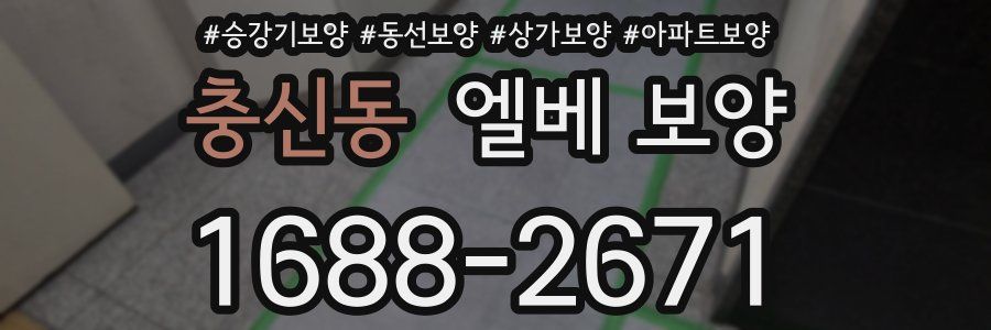 충신동 엘베 보양
