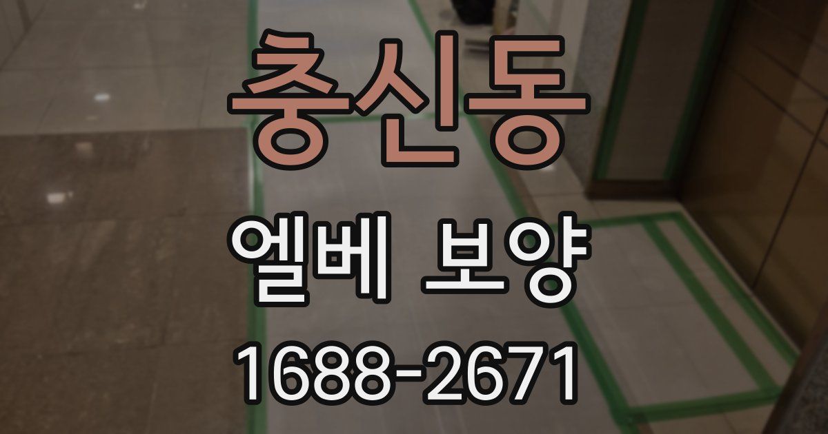 충신동 엘베 보양
