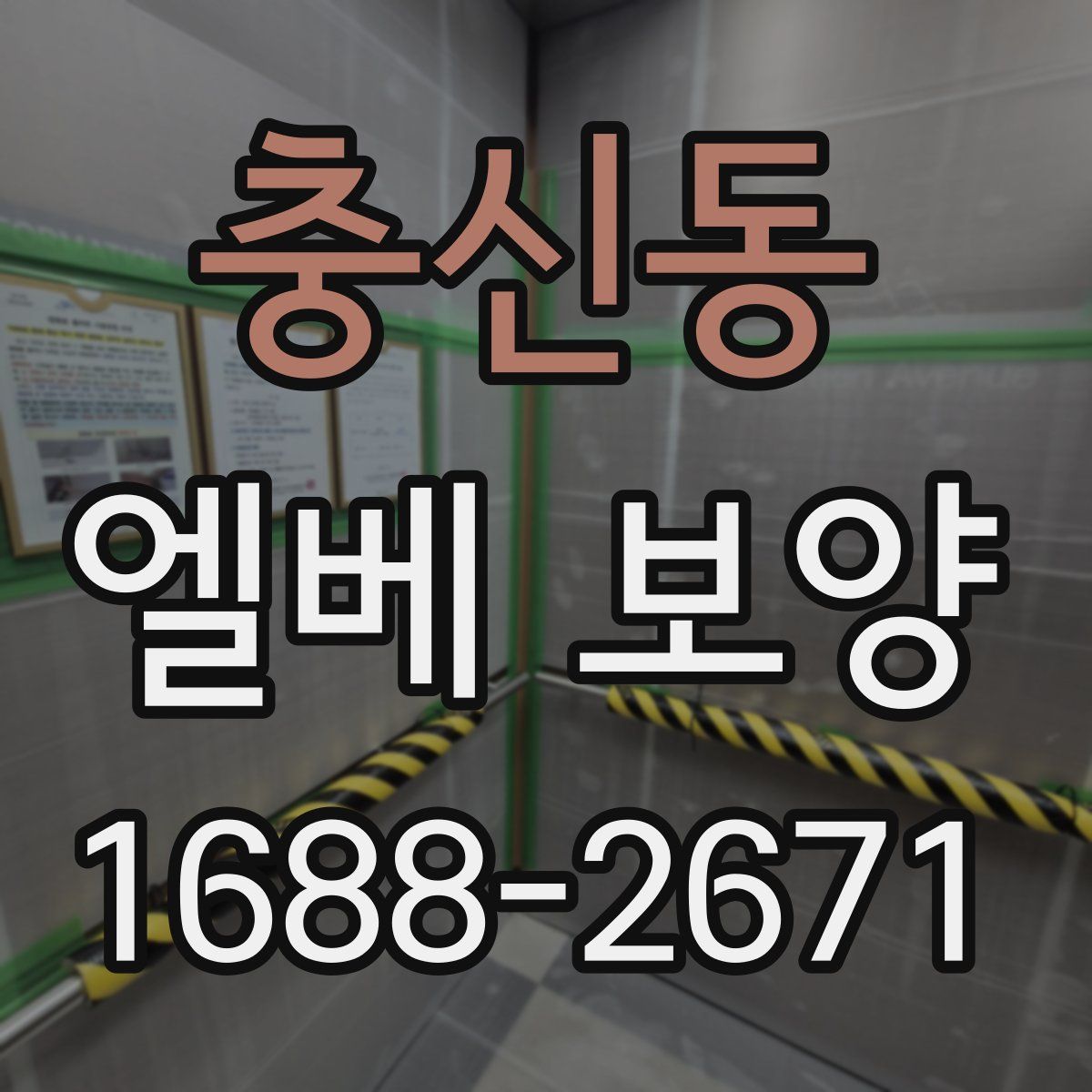 충신동 엘베 보양