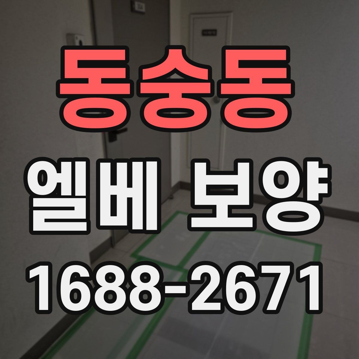 동숭동 엘베 보양 여름철 고온 환경에서 자재 변형 줄이기