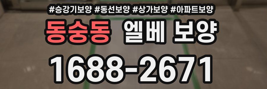동숭동 엘베 보양