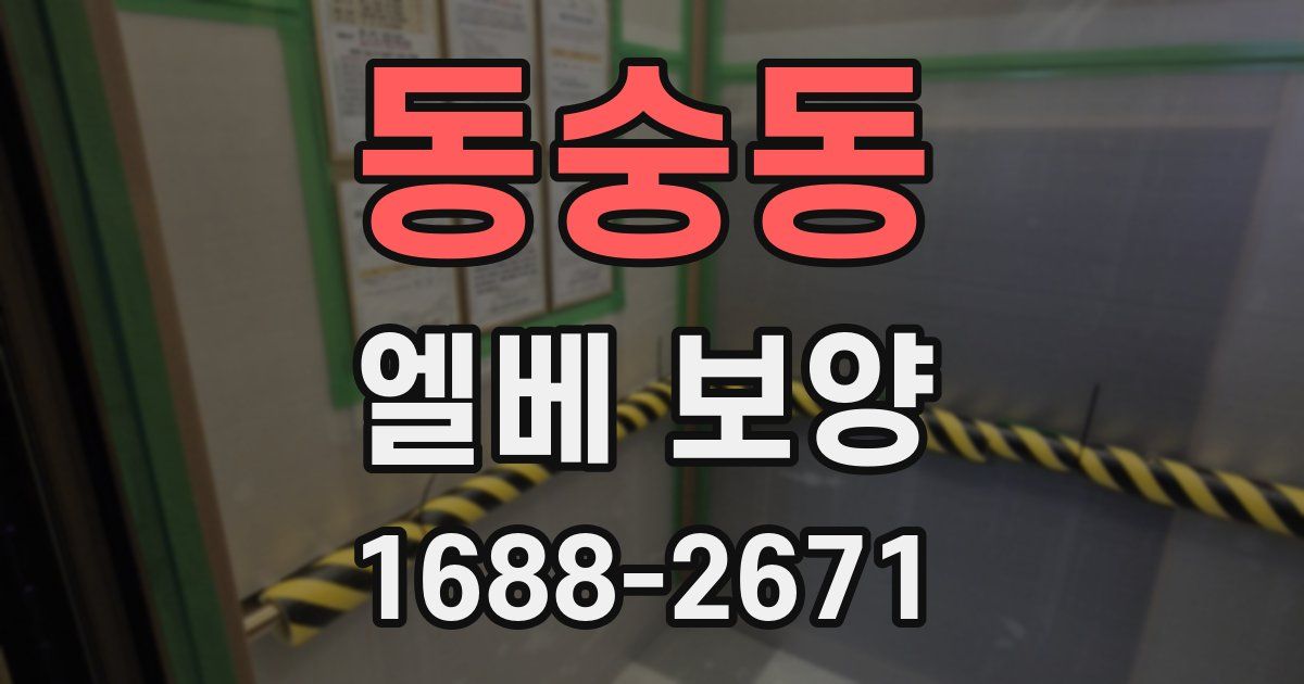동숭동 엘베 보양