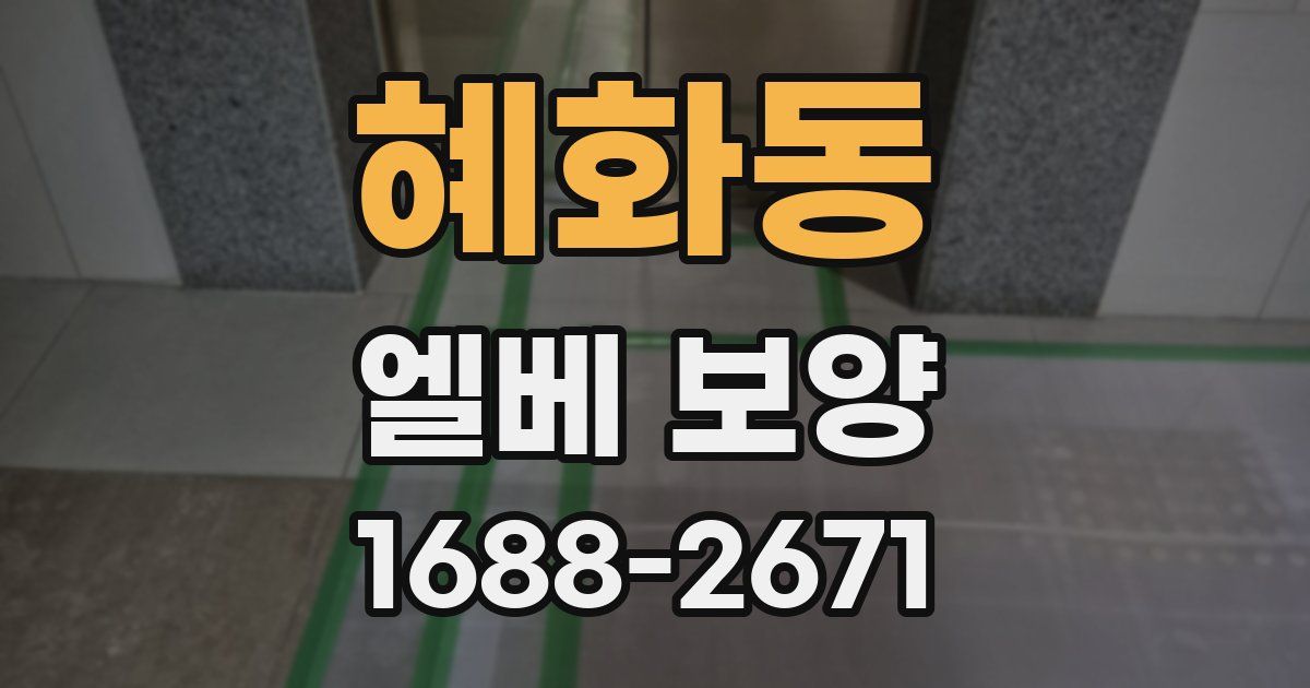 혜화동 엘베 보양